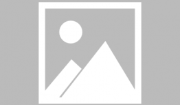 苹果怎么套袋视频,轻松掌握果实保护新方法