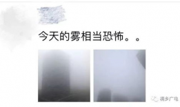 雾中人,探寻迷雾中的生命轨迹