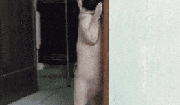 很黄的视频,揭秘网络热传“辣眼睛”视频背后的故事